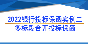 保函,多標(biāo)段合開一張投標(biāo)保函