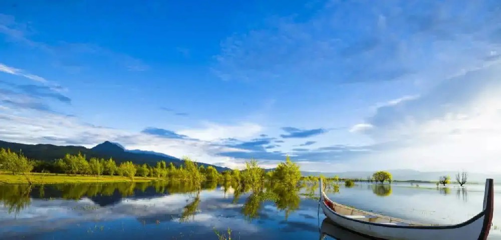 云南電子保函服務(wù)釋放保證金超86億元