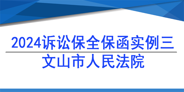 訴訟保全,財產(chǎn)保全,文山市人民法院