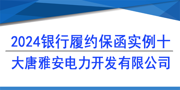 大唐雅安電力開發(fā)有限公司,履約保函