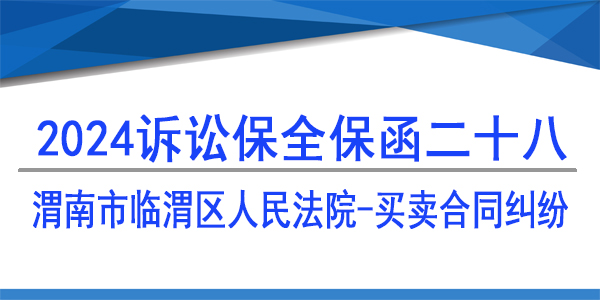 渭南市臨渭區(qū)人民法院,訴訟保全,財(cái)產(chǎn)保全
