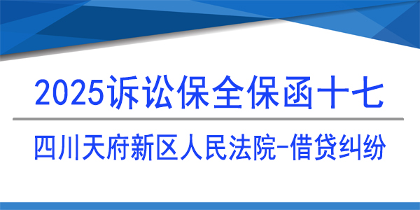 四川天府新區(qū)人民法院,訴訟保全,財產保全