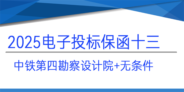 電子投標(biāo)保函,投標(biāo)保函