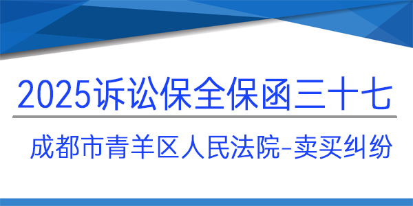 成都市青羊區(qū)人民法院,訴訟保全,財產(chǎn)保全