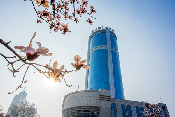 工行洛陽分行助力企業(yè)成功辦理履約保函2510萬美元